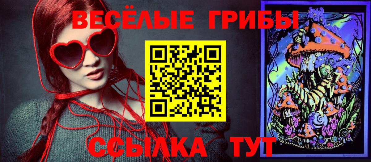 Галлюциногенные грибы Psilocybe  наркота  Воскресенск  Вход с VPN  Псилоцибиновые грибы Cubensis 